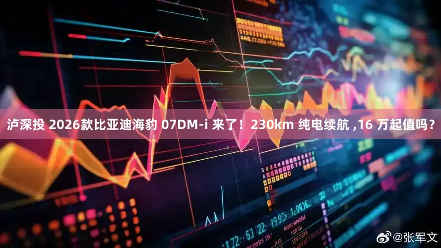泸深投 2026款比亚迪海豹 07DM-i 来了！230km 纯电续航 ,16 万起值吗？