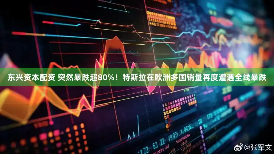 东兴资本配资 突然暴跌超80%！特斯拉在欧洲多国销量再度遭遇全线暴跌