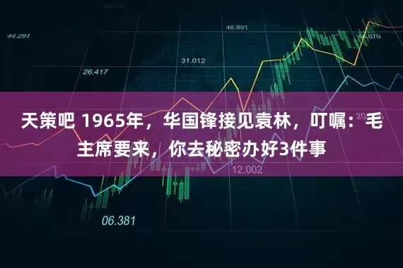 天策吧 1965年,华国锋接见袁林,叮嘱:毛主席要来,你去秘密办好3件事